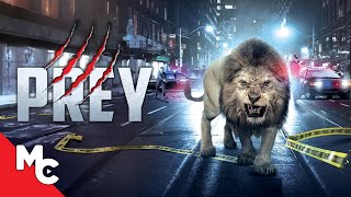 UNCAGED 2020 Official Movie Trailer  The Wild Killer Lion [upl. by Pride]