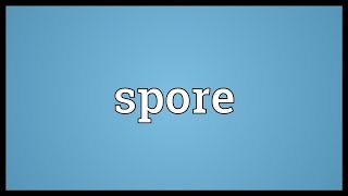 Spore Meaning [upl. by Norted]