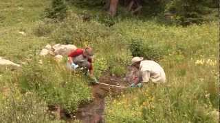 Natural Resource Management Internships  Colorado Mountain College [upl. by Modesty347]