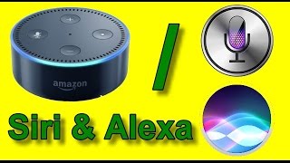 Siri amp Alexa [upl. by Frydman]