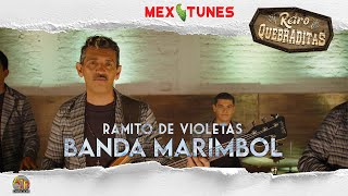 🎥 Banda Marimbol  Ramito de Violetas Video Oficial Retro Quebraditas 4K [upl. by Ycnay880]