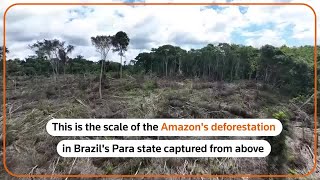 Drone footage shows deforestation in Brazilian Amazon [upl. by Dur167]