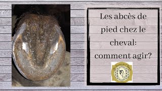 Les abcès de pied chez le cheval comment agir [upl. by Levan]