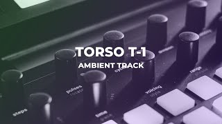 Torso T1 Ambient Session [upl. by Elleirua212]