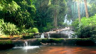 Thailand Waterfalls in the Mountain Forest White Noise Waterfall Natural Sounds for Relaxing Sleep [upl. by Anwadal]