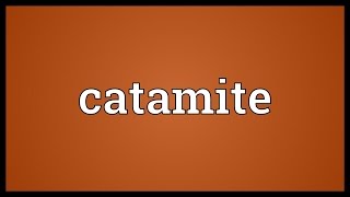 Catamite Meaning [upl. by Broderick]