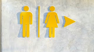 UK leading the ‘Western world’ on policies banning genderneutral bathrooms [upl. by Pilihp]