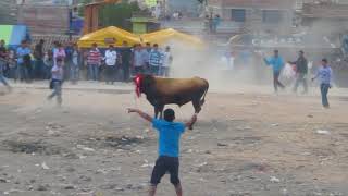 corrida de toros ayacucho full kachito [upl. by Curson625]