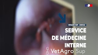 Service de médecine interne du CHUV de VetAgro Sup [upl. by Admama]