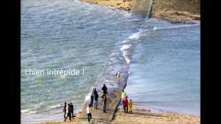 le long de la Rance  de Dinan à Saint Malo [upl. by Gayn53]