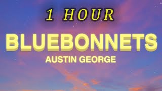 1 HOUR 🕐  Austin George  Bluebonnets Lyrics [upl. by Clifford]