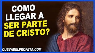 Como ser parte de Cristo  William Marrion Branham en Español [upl. by Noxaj303]