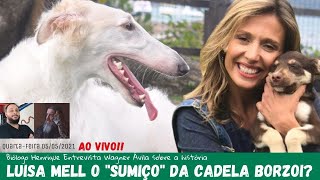 Luiza Mell e a Borzoi Entrevista ao Vivo com Ávila para entender a história [upl. by Kcarb386]