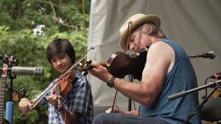 Daniel Lapp and TMT  Vancouver Folk Music Festival 2024 [upl. by Kendricks]