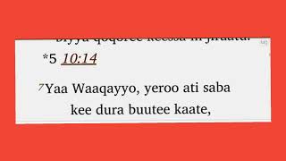 108 Macaafa Faarfannaa boqonnaa 64 hanga 74  Simboo Kabbadaa tiin [upl. by Renrag]