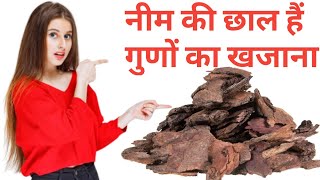 नीम की छाल है गुणों का खजाना  neem ki chaal ke fayde  neem ki chhal ke fayde pimple neem ki chaal [upl. by Nnylidnarb]