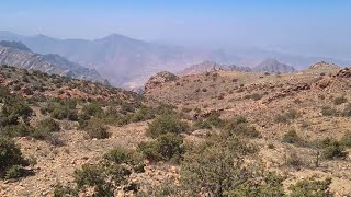 TOP OF MOUNT LEBANON saudiarabia travel [upl. by Snoddy539]