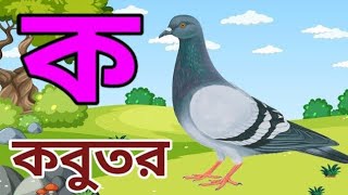 ক তে কবুতর খ তে খরগোশ  ব্যঞ্জনবর্ণ  ক খ  Bangla Alphabets  ক খ গ ঘ ঙ বাংলা।ক খ। Anisha tv83 । [upl. by Aniz]