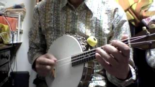 Vega Little Wonder Mandolin Banjo tuned in octave below GDAE [upl. by Einalem]