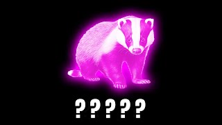 15 Badger Noises Sound Variations in 55 Seconds  MODIFY EVERYTHING [upl. by Ahsenrad]