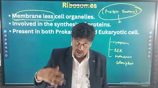 Ribosomes Class 9th [upl. by Gun979]