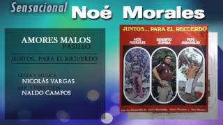 Noé Morales  Amores malos [upl. by Hanid]