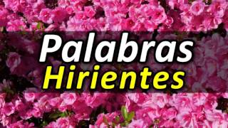 4 Pasos Para que no te Hieran las Palabras [upl. by Naitsihc672]