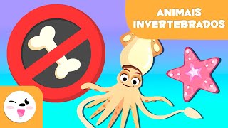 ANIMAIS INVERTEBRADOS  Artrópodes moluscos anelídeos celenterados equinodermes e esponjas [upl. by Aicenert513]