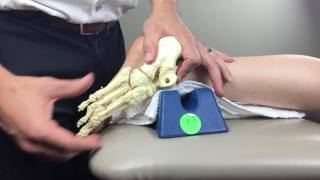 Mid Foot midtarsal Manual Therapy [upl. by Annaujat]