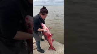 This Lady Leaves the Fish in the Sea  InFact Tamil shortsvideo [upl. by Ahsram]