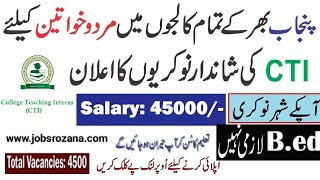 CTI Jobs 2023  College Teachers Interns Jobs 202324  Download Application For 1000 Jobs [upl. by Hephzibah]