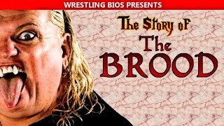 The Story of The Brood in WWF [upl. by Mikaela288]