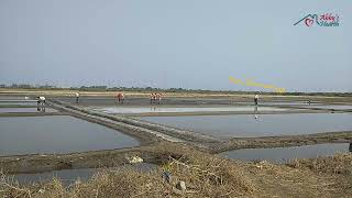 Salt pan workers in Vashi [upl. by Marjana86]