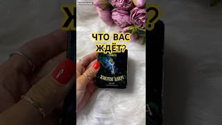 🔮 ЧТО ВАС ЖДЁТ ❓Гадание на картах ✨ гадание гаданиеонлайн [upl. by Aynosal]