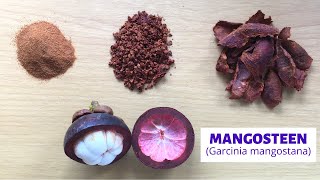 3 Ways to Use Mangosteen Rind  How to Dry Mangosteen Rind  Mangosteen Powder  Xanthone [upl. by Lokcin]