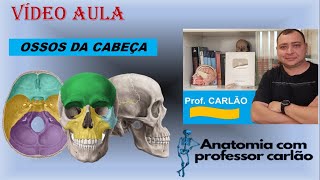 VÍDEO AULA OSSOS DA CABEÇA [upl. by Herra]