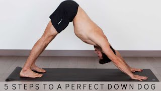 5 Steps to Perfect Down Dog and 3 Legged Downward Dog  Yoga With Tim [upl. by Ozkum]