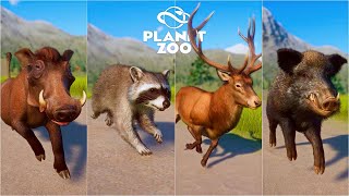 Common Warthog Raccoon Red Deer Wild Boar Bornean Orangutan  Planet Zoo Animals Race [upl. by Noiramaj]