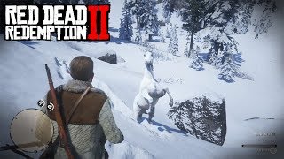 I LOST THE WHITE HORSE in Red Dead Redemption 2 [upl. by Arak]