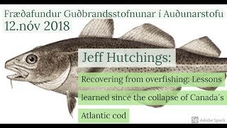 Jeff Hutchings talks about the Canadas Atlantic Cod in Audunnarstofa Iceland 2018 [upl. by Adi]