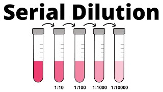 How to prepare a Serial Dilution [upl. by Yruy]