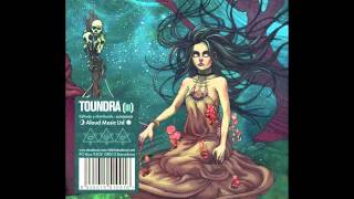 Toundra  Requiem [upl. by Schroeder]