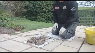 paving slabs Patio flags jointing and Pointing for Beginners this way allows movement Part 1 [upl. by Arej114]