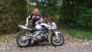 Aprilia Shiver 750 Awesome Sound [upl. by Esimaj]