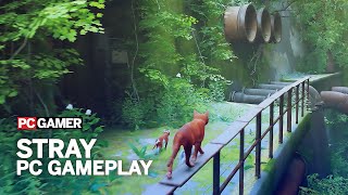 Stray Gameplay 4K 60FPS PC  The First 8 Minutes [upl. by Harlin]