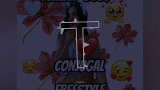 Tender Boss Conjugal Freestyle Pt 2 Clean [upl. by Sorodoeht]