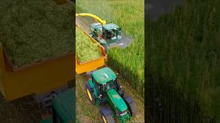 Hemp Harvest 😎😎 John Deere 7480i and 6930 tractor agriculture farming FlyingPixelsPhotography [upl. by Strep]