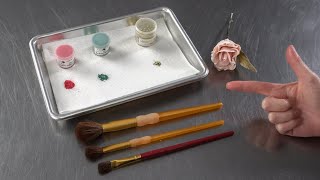 Petal Dust vs Luster Dust vs Edible Glitter for Sugar Flowers  Cake Decorating For Beginners [upl. by Orvah]