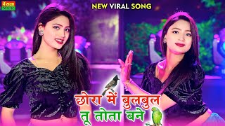 छोरा में बुलबुल तू तोता बने  Chora M Bulbul Tu Tota Bane  PS Queen New Rasiya Song 2024 [upl. by Eziechiele141]