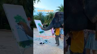 Smart Elephant painting the tree travel animals painting elephant shorts fyp foryou [upl. by Uzzial]